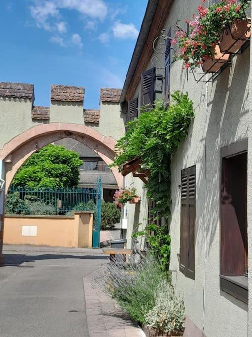 Gite Le3 Bergheim Bagian luar foto